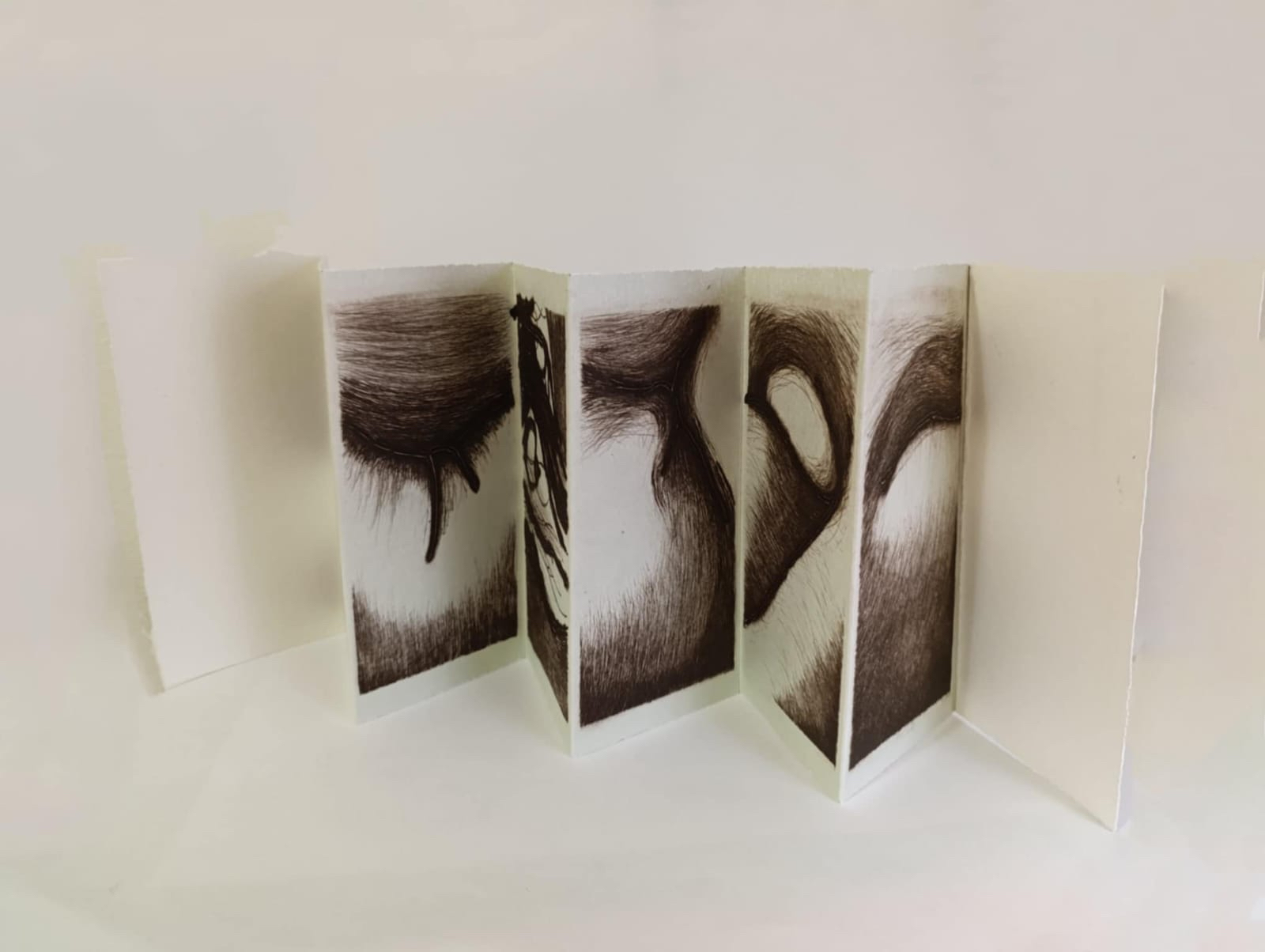 Gisella Ciullo - dismembered